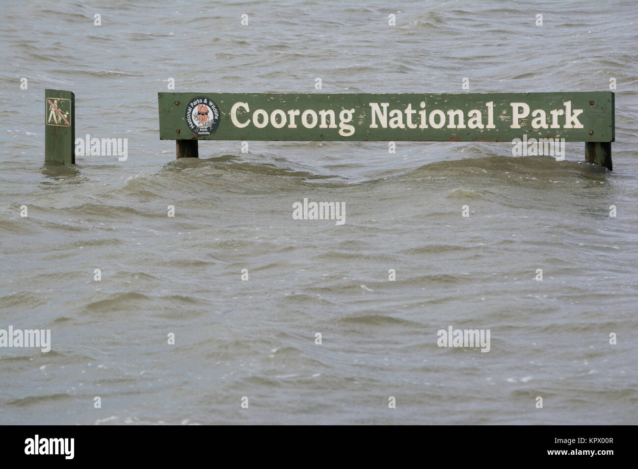 Hindmarsh Island, South Australia, Australia - 11 Ottobre 2016: Parco Nazionale di Coorong segno sommerso sotto il gonfio Fiume Murray a causa di inondazioni. Foto Stock