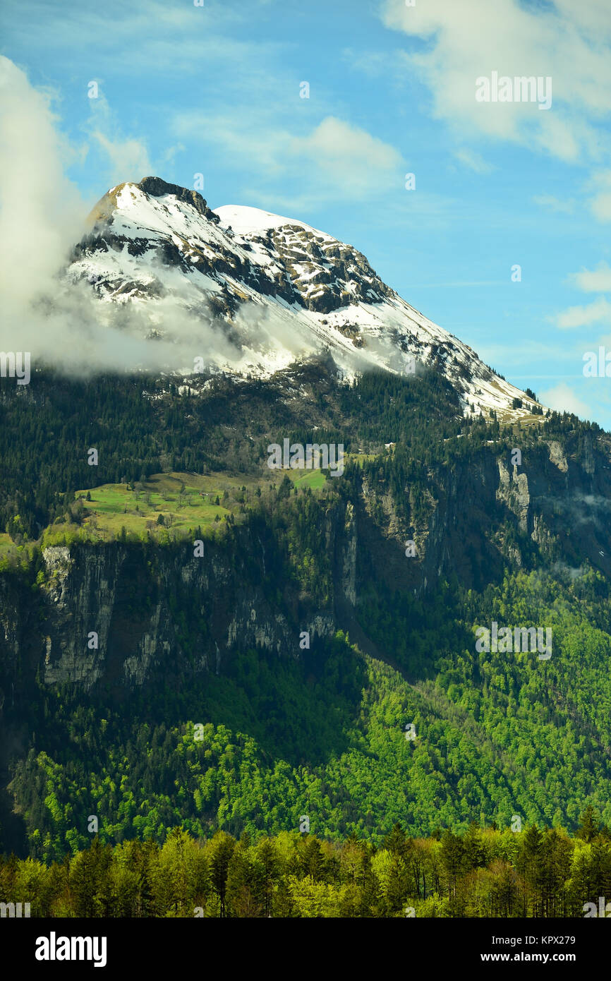 Picco alpino in Svizzera. Foto Stock