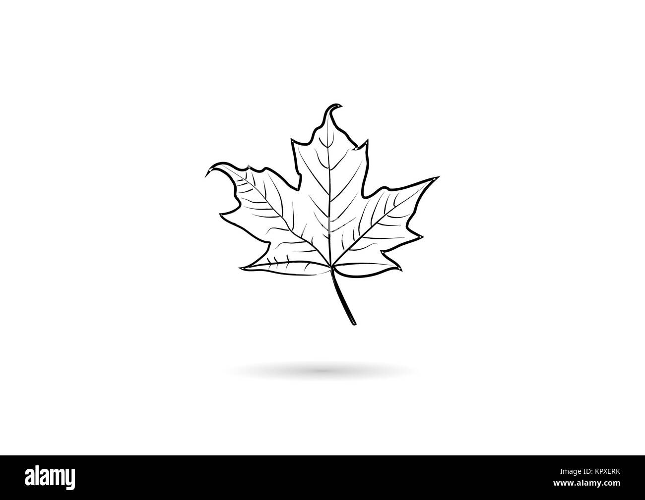 Vettore di creative abstract per maple leaf Foto Stock