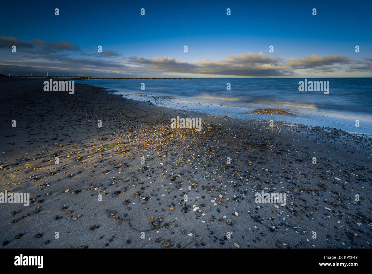 Mar baltico nel tramonto e mare tempestoso con pietre e alberi in acqua Foto Stock