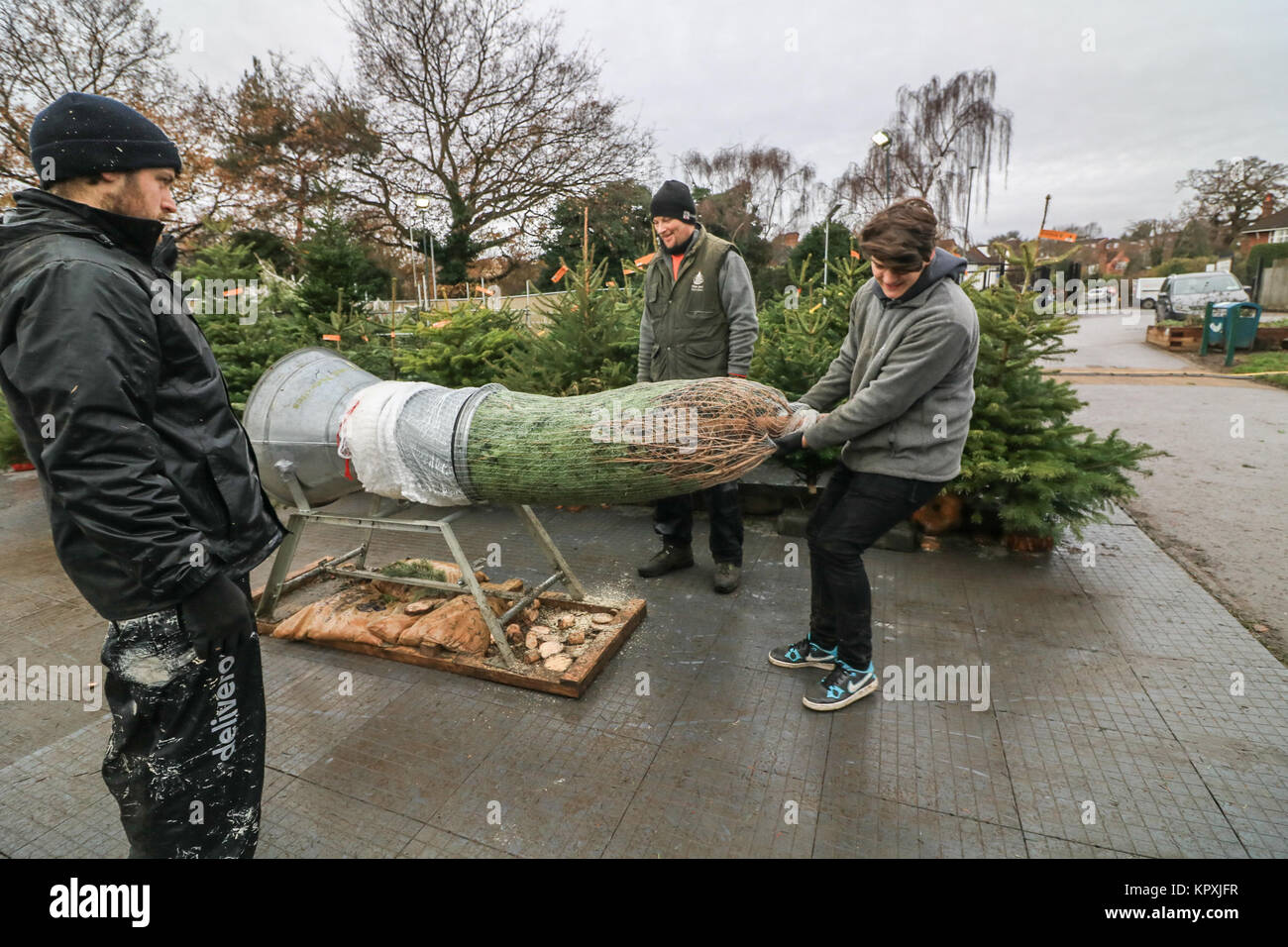 Londra REGNO UNITO. 17 dicembre 2017. I membri del pubblico di acquistare abeti e pini che sono compensate da un vivaio di Wimbledon con una settimana a sinistra fino a Natale Credit: amer ghazzal/Alamy Live News Foto Stock