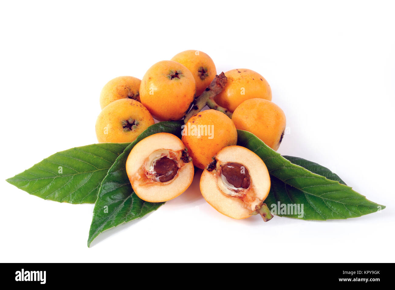 Medlars prodotta con coltivazione biologica fotografia su sfondo bianco Foto Stock