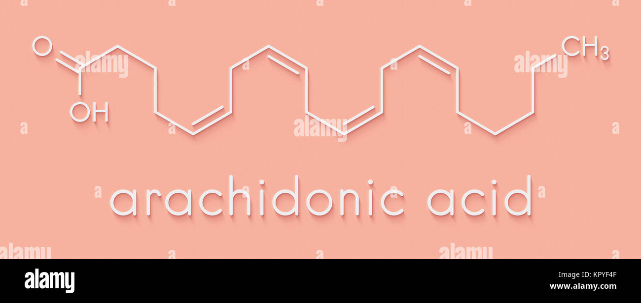 Acido arachidonico molecola. Polinsaturo Omega-6 acido grasso che è un  precursore di prostaglandine, prostaciclina, trombossani e leucotrieni e  anan Foto stock - Alamy