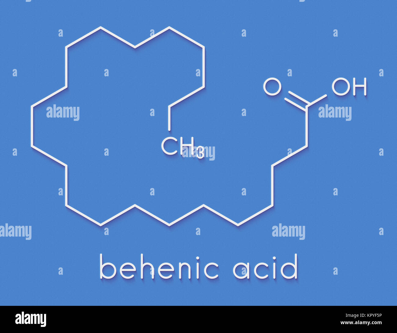Acido behenico (acido docosanoico) saturata molecola di acido grasso. Formula di scheletro. Foto Stock
