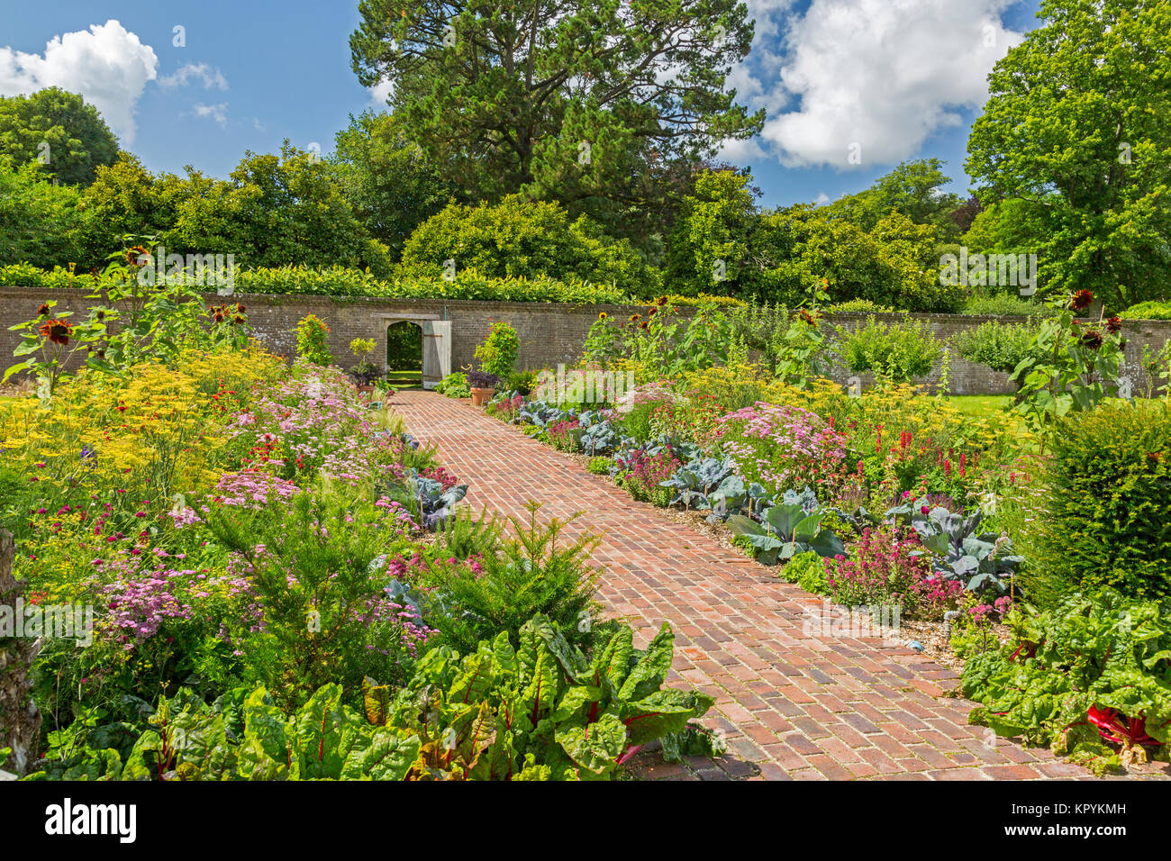 Il recente ripiantati walled garden confini in casa Athelhampton, Puddletown, Dorset, England, Regno Unito Foto Stock