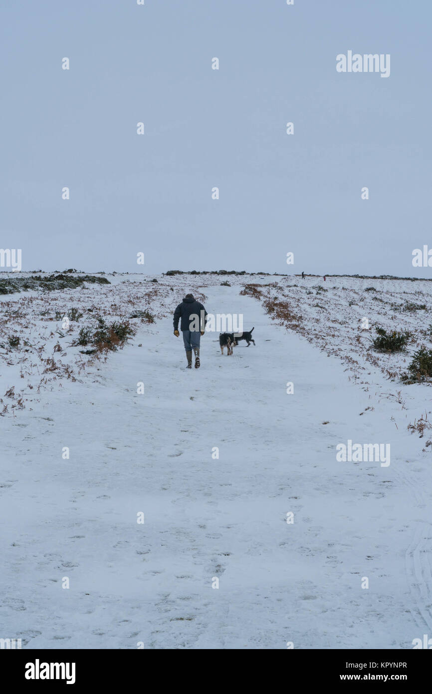 Maschio a piedi con due Border Collies su Hergest Ridge Kington Herefordshire UK Foto Stock