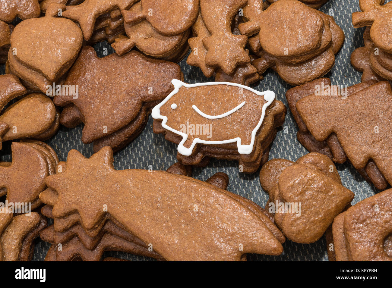 Carino Anno Nuovo piggy per buona fortuna da Natale gingerbread. Pile di differentemente conformati in pasticceria con il bianco decorato suino in alto. Foto Stock