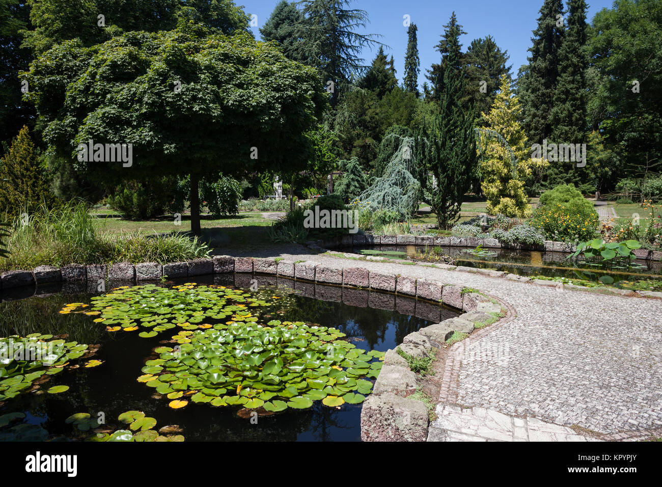 La Slovacchia, Bratislava, giardino botanico dell'Università Comenius Foto Stock