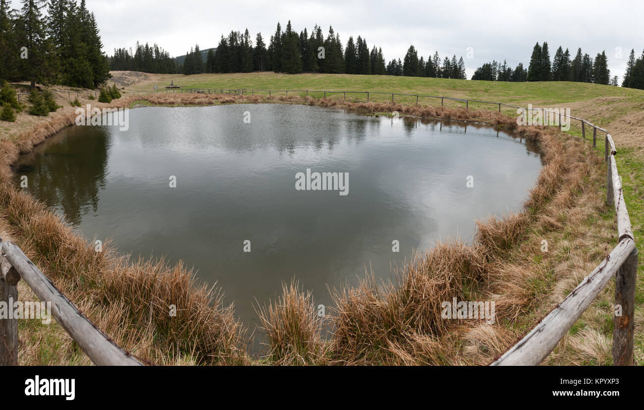 Laghetto in Stiria nelle Alpi orientali Foto Stock