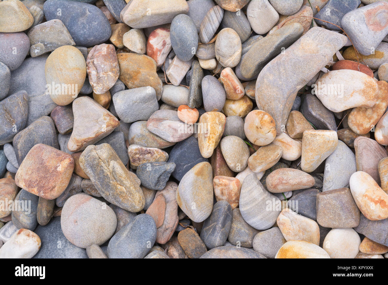 Forme astratte e modelli: colorati ciottoli di pietra trovata sulla pesca in spiaggia, Sud Australia Foto Stock