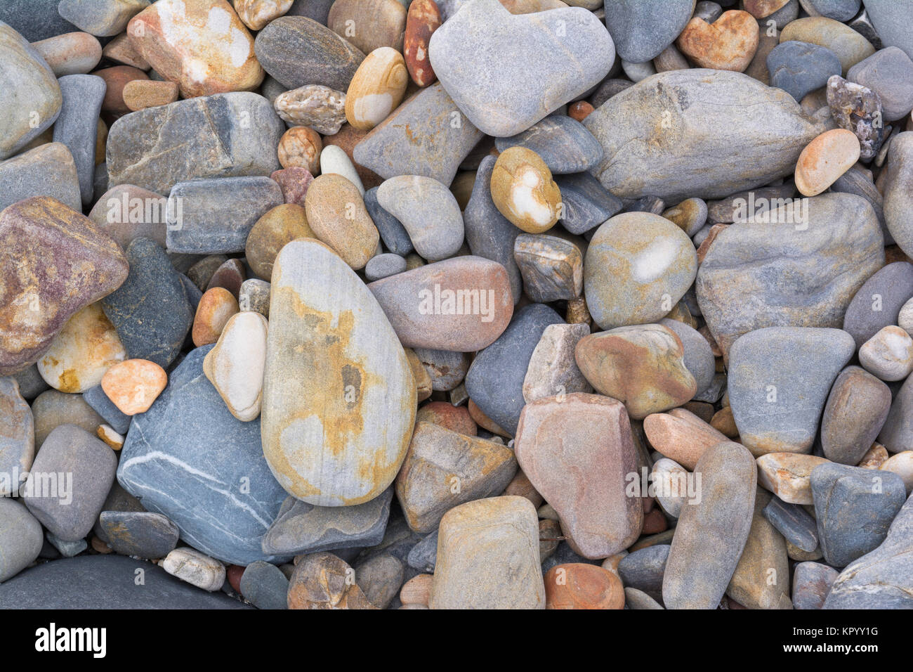Forme astratte e modelli: colorati ciottoli di pietra trovata sulla pesca in spiaggia, Sud Australia Foto Stock