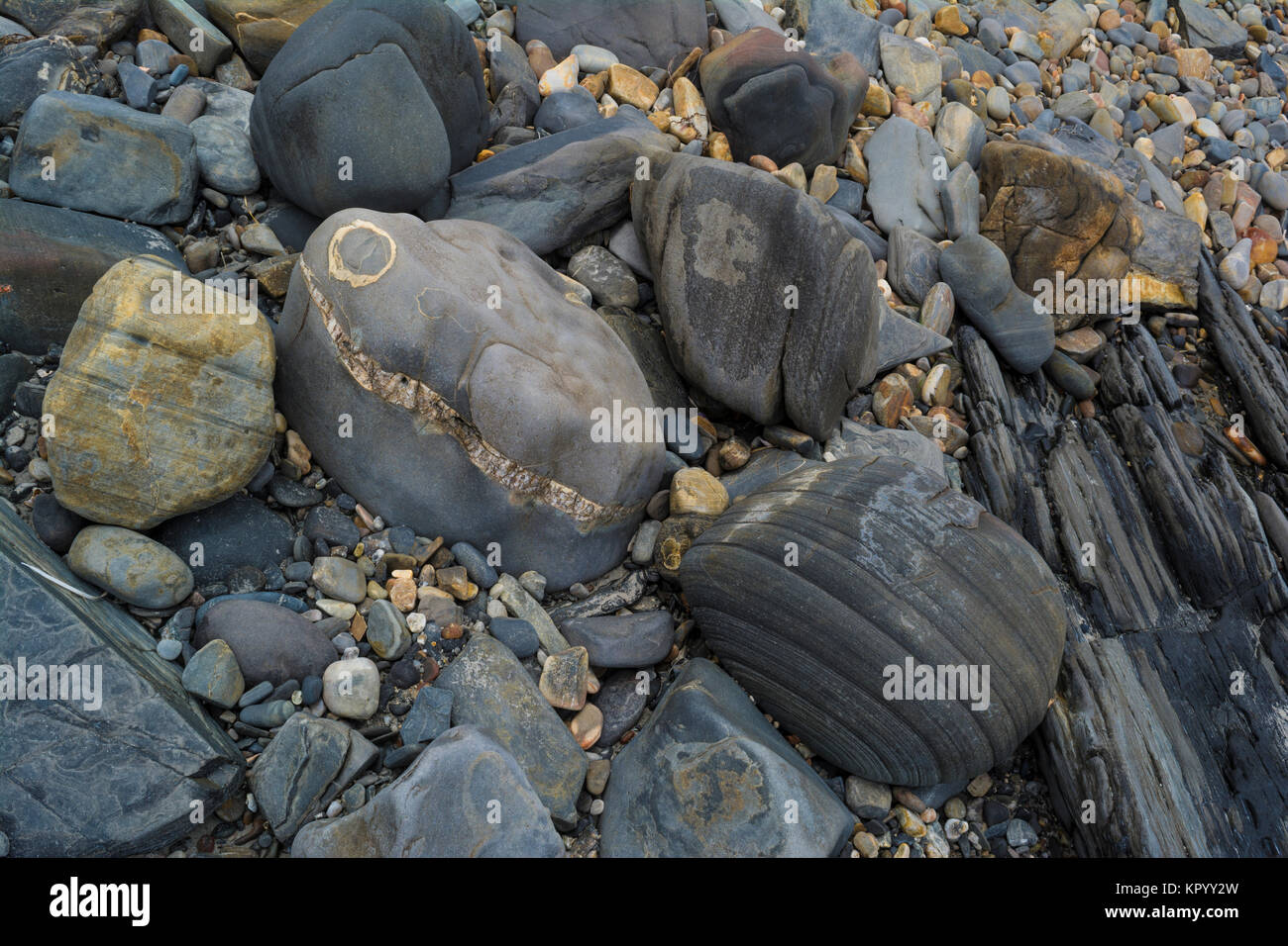 Forme astratte e modelli: rocce scure con marmorizzazione e colorato ciottoli di pietra trovato alla spiaggia della pesca, Sud Australia Foto Stock