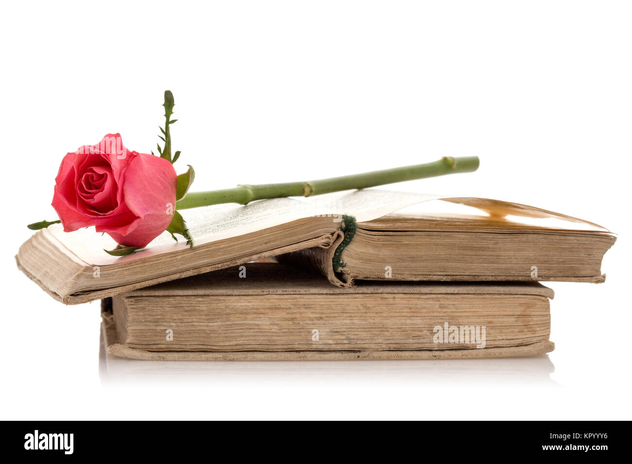 Libri antichi con rosa rosa. Foto Stock