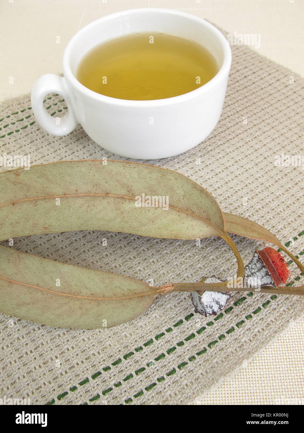 Il tè di eucalipto Foto Stock