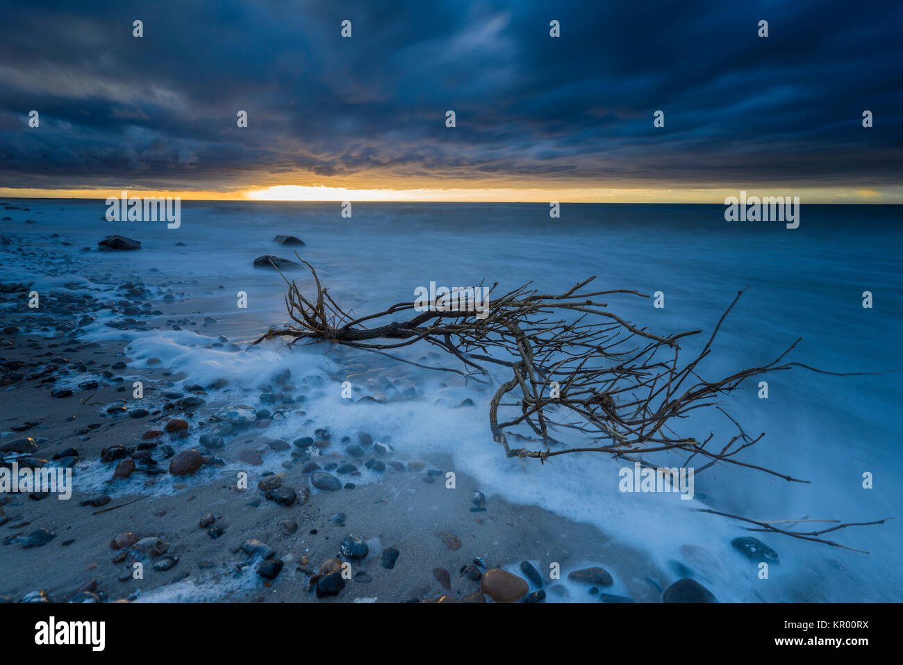 Mar baltico nel tramonto e mare tempestoso con pietre e alberi in acqua Foto Stock