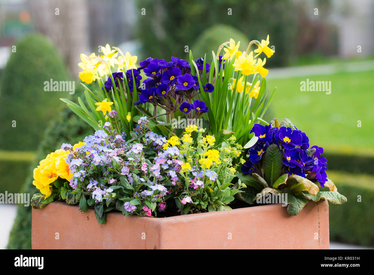Rettangolare vaso di fiori in un parco Foto stock - Alamy