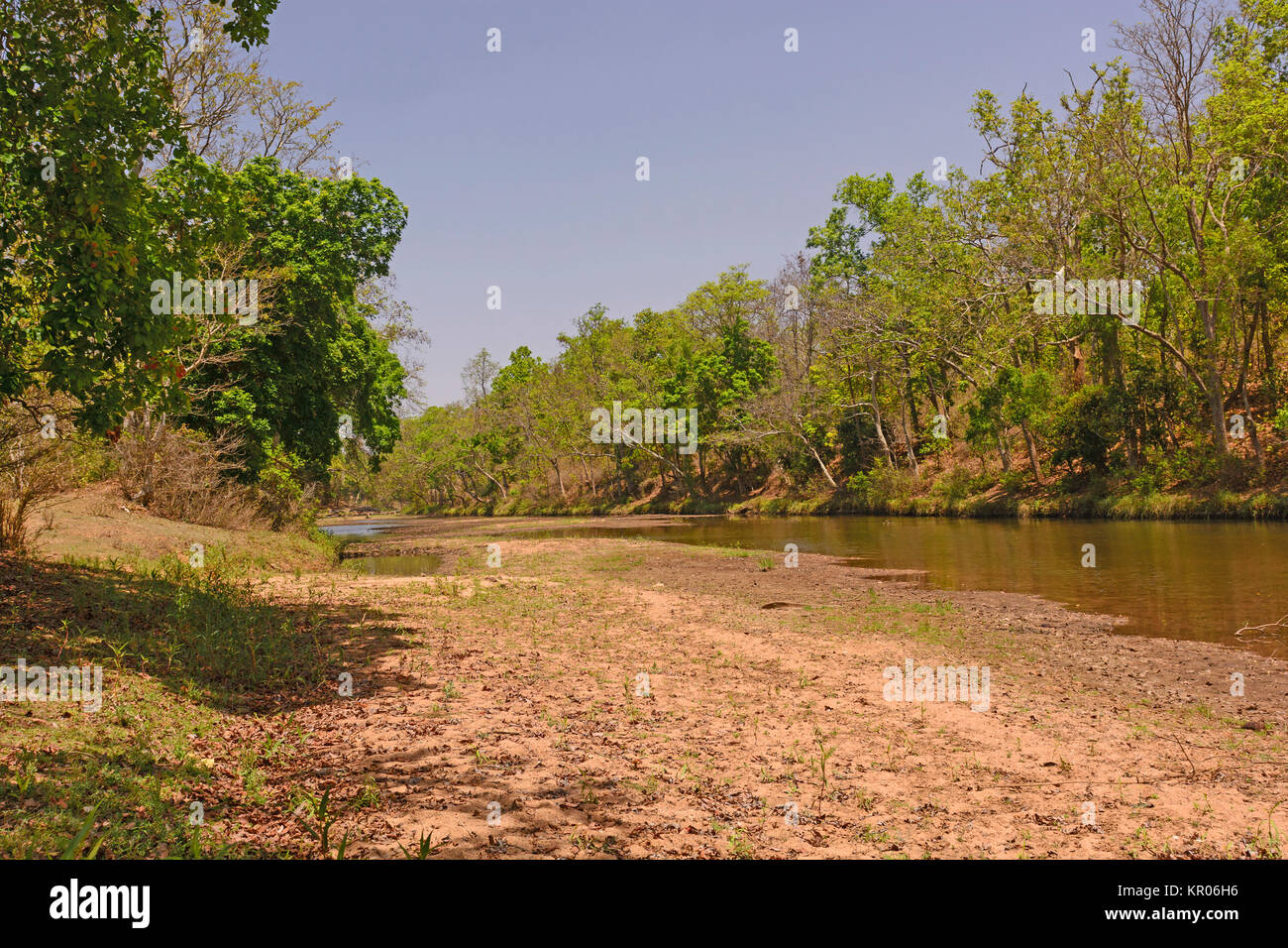 Fiume in acque basse in India Foto Stock