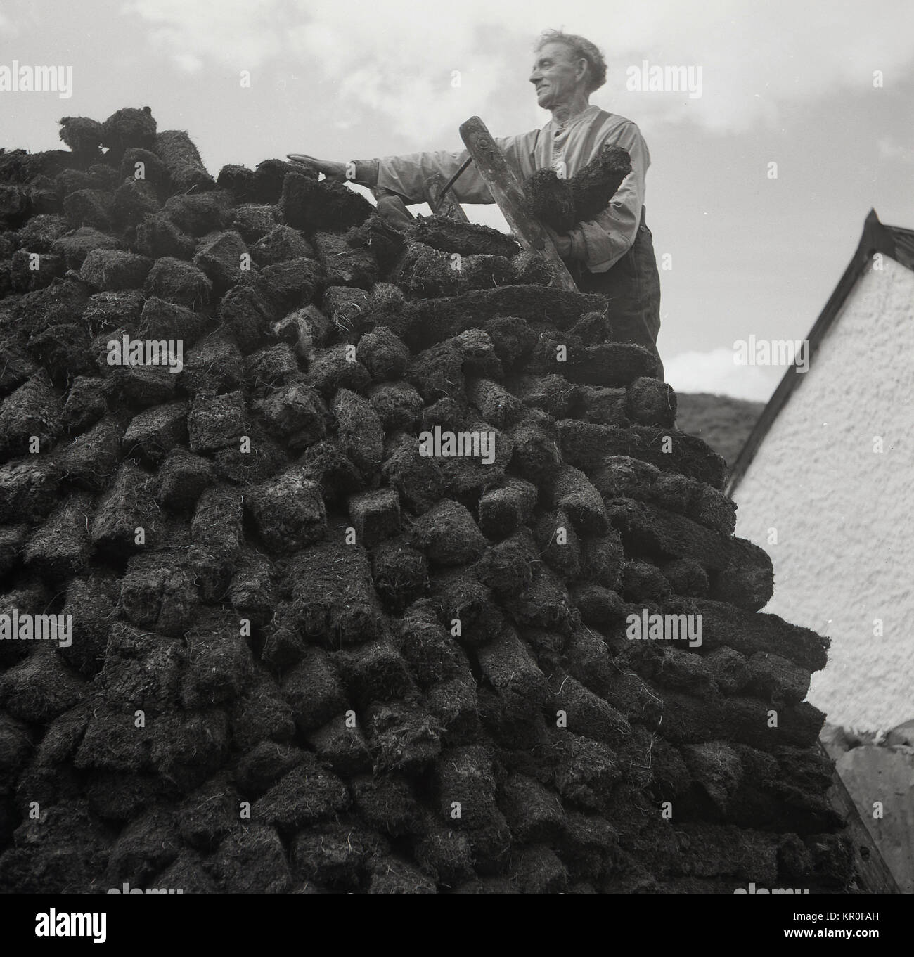 1950, immagine storica che mostra un piccolo-portatore maschio irlandese su una scala di legno che mette con attenzione la torba di loggsof sulla cima di un grande e alto stack accanto al suo cottage. La torba o il tappeto erboso è la vegetazione decaduta e cresce naturalmente nelle torbiere e nelle paludi che coprono l'Irlanda ed è stato ed è ancora, utilizzato dalle popolazioni rurali un importante combustibile invernale per il riscaldamento. Foto Stock