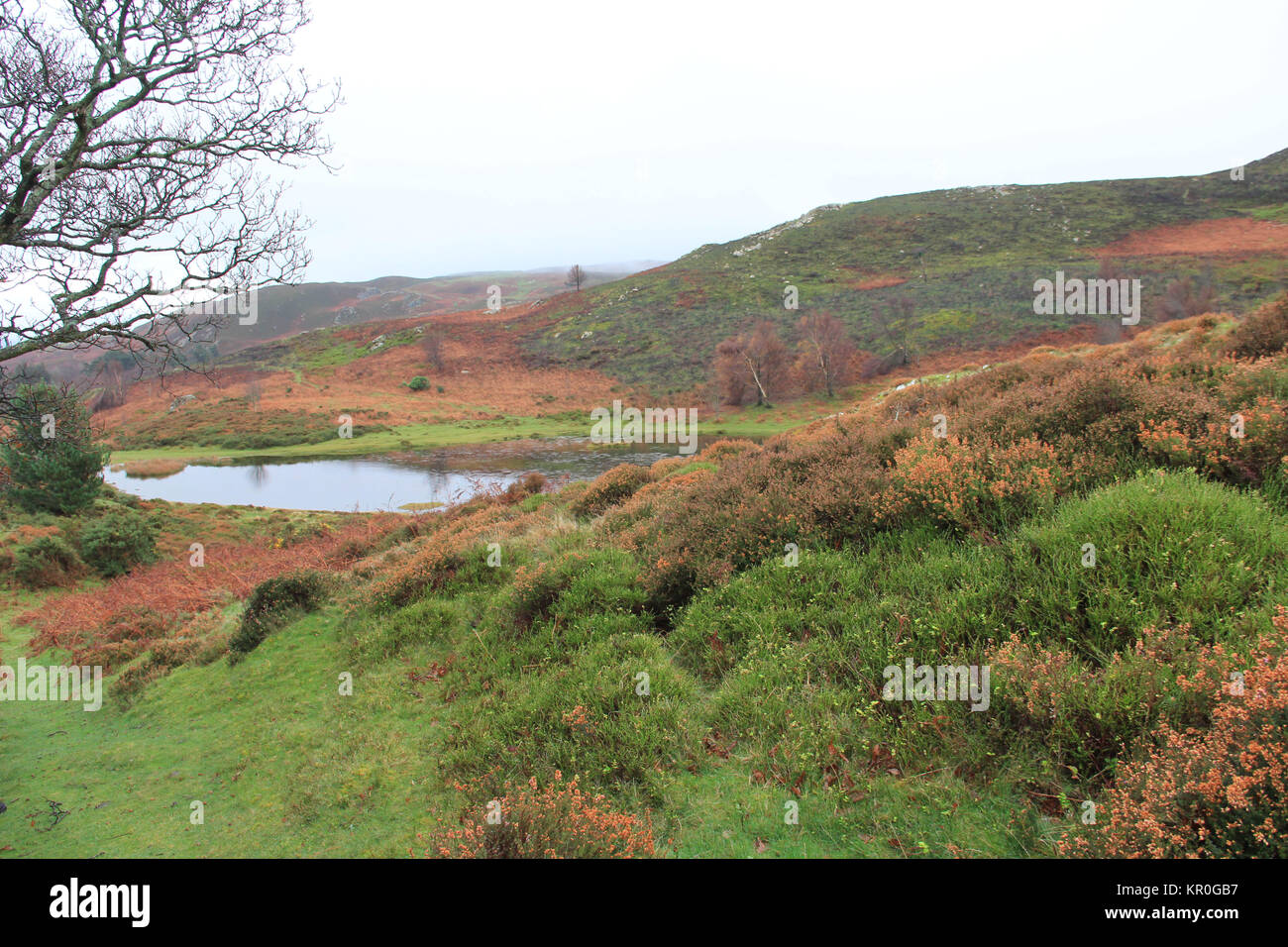 Sychnant Pass. Conwy Foto Stock