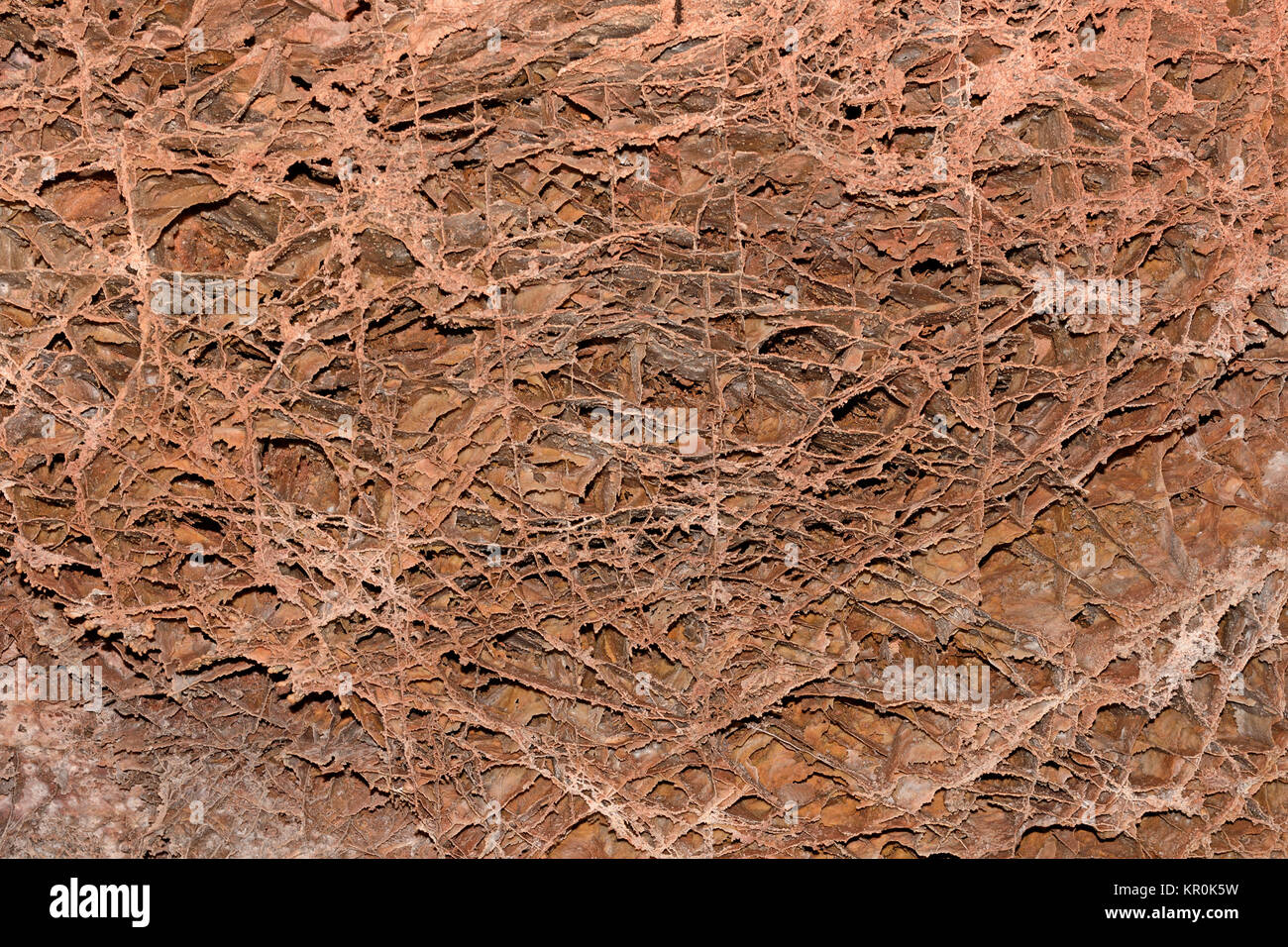 Boxwork formazioni in una grotta soffitto nel Parco nazionale della Grotta del Vento nel South Dakota Foto Stock