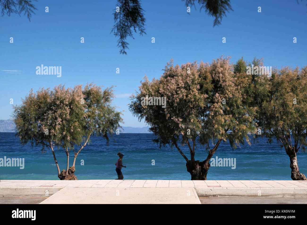 Un pareggiatore femmina corre lungo su un luogo di villeggiatura lungomare. L'immagine mostra un mare turchese e il cielo blu e chiaro su un bel giorno di estate Foto Stock