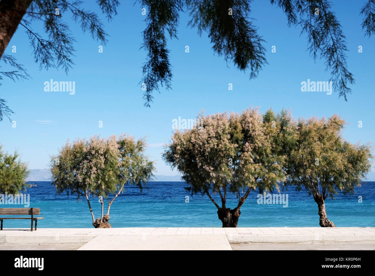 Un centro di villeggiatura lungomare o esplanade, delimitato da una bassa tress. L'immagine mostra un mare turchese e il cielo blu e chiaro su un bel giorno di estate Foto Stock