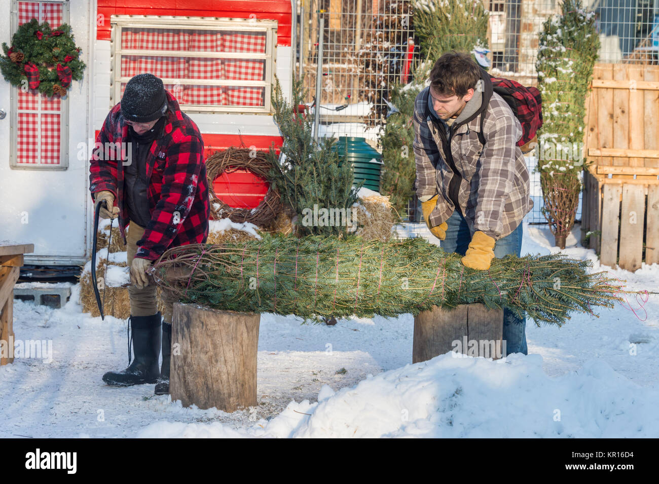 Montreal, Canada - 16 dicembre 2017: un uomo è l'acquisto di un albero di natale Foto Stock