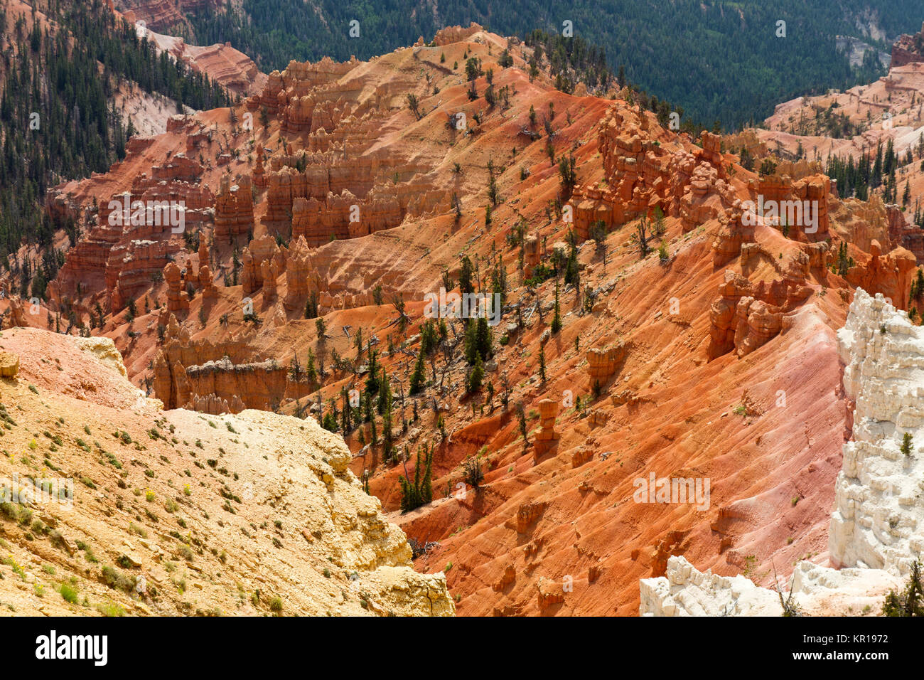 Cedar Breaks 16 Foto Stock