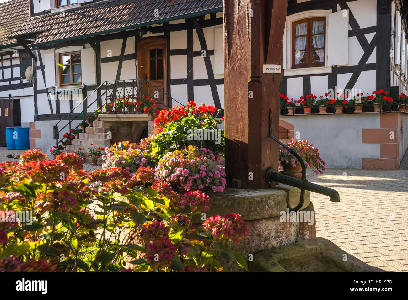 A struttura mista in legno e muratura country house, decorazioni floreali e ben in Hunspach in autunno, Alsazia, Francia, stati dei più bei villaggi di Francia Foto Stock