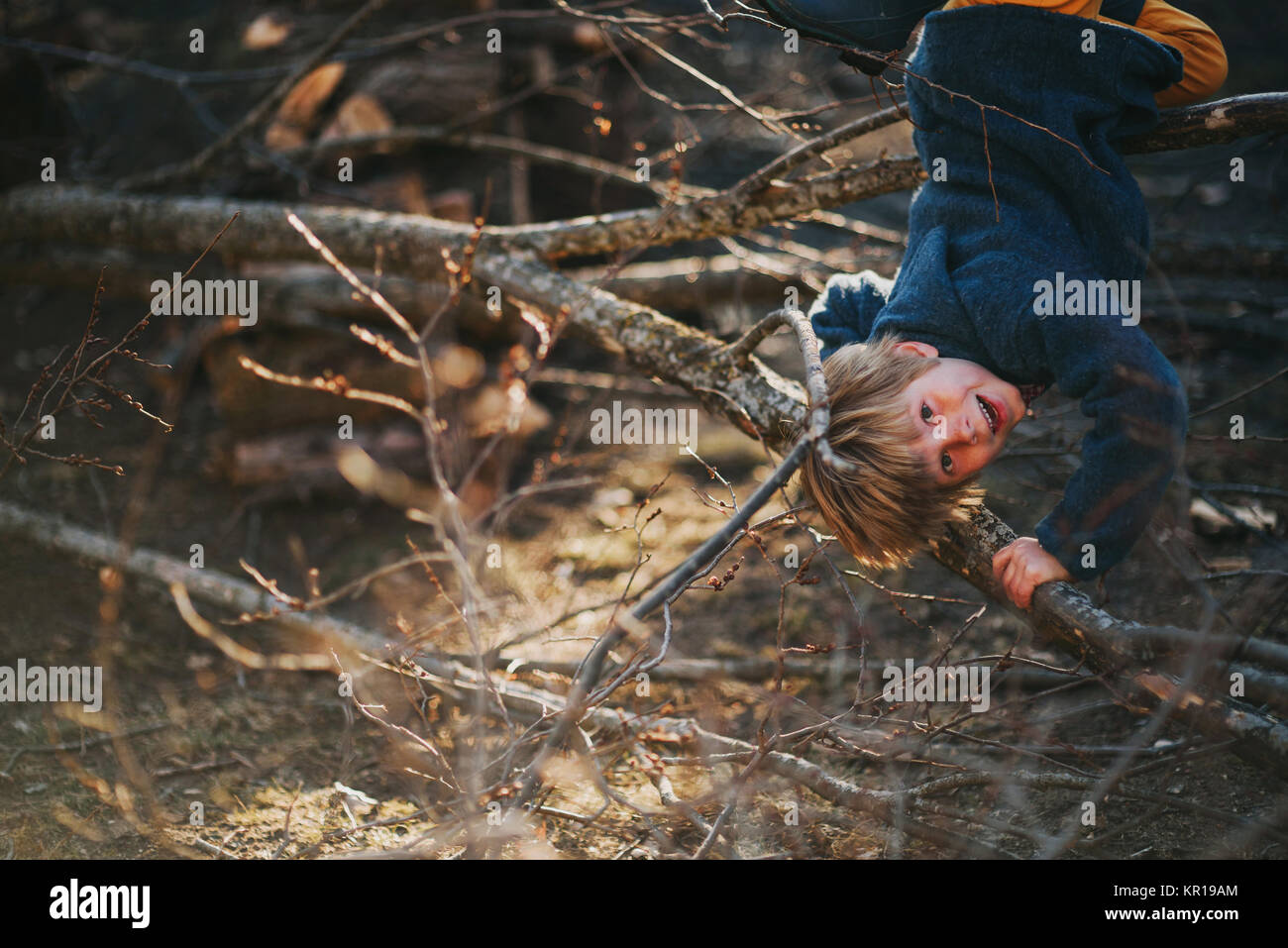 Ragazzo appeso a testa in giù in una struttura ad albero Foto Stock