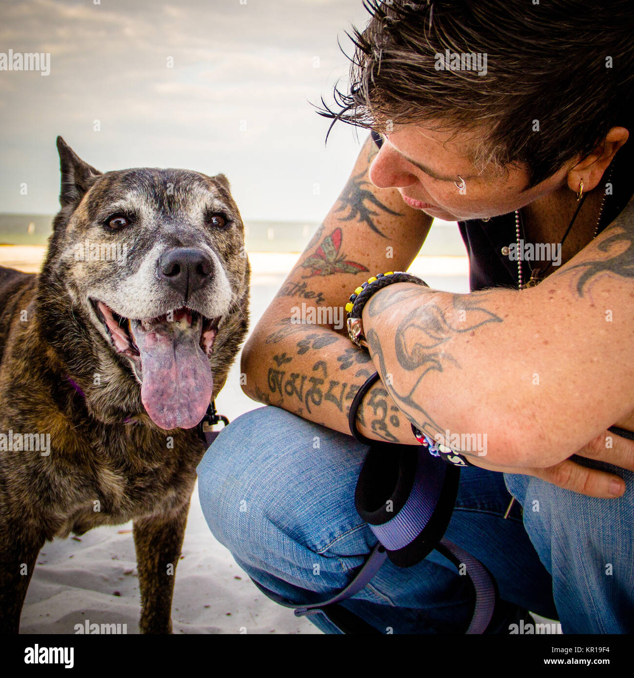 Donna sulla spiaggia con il suo cane pitbull, San Pietroburgo, Florida, Stati Uniti Foto Stock