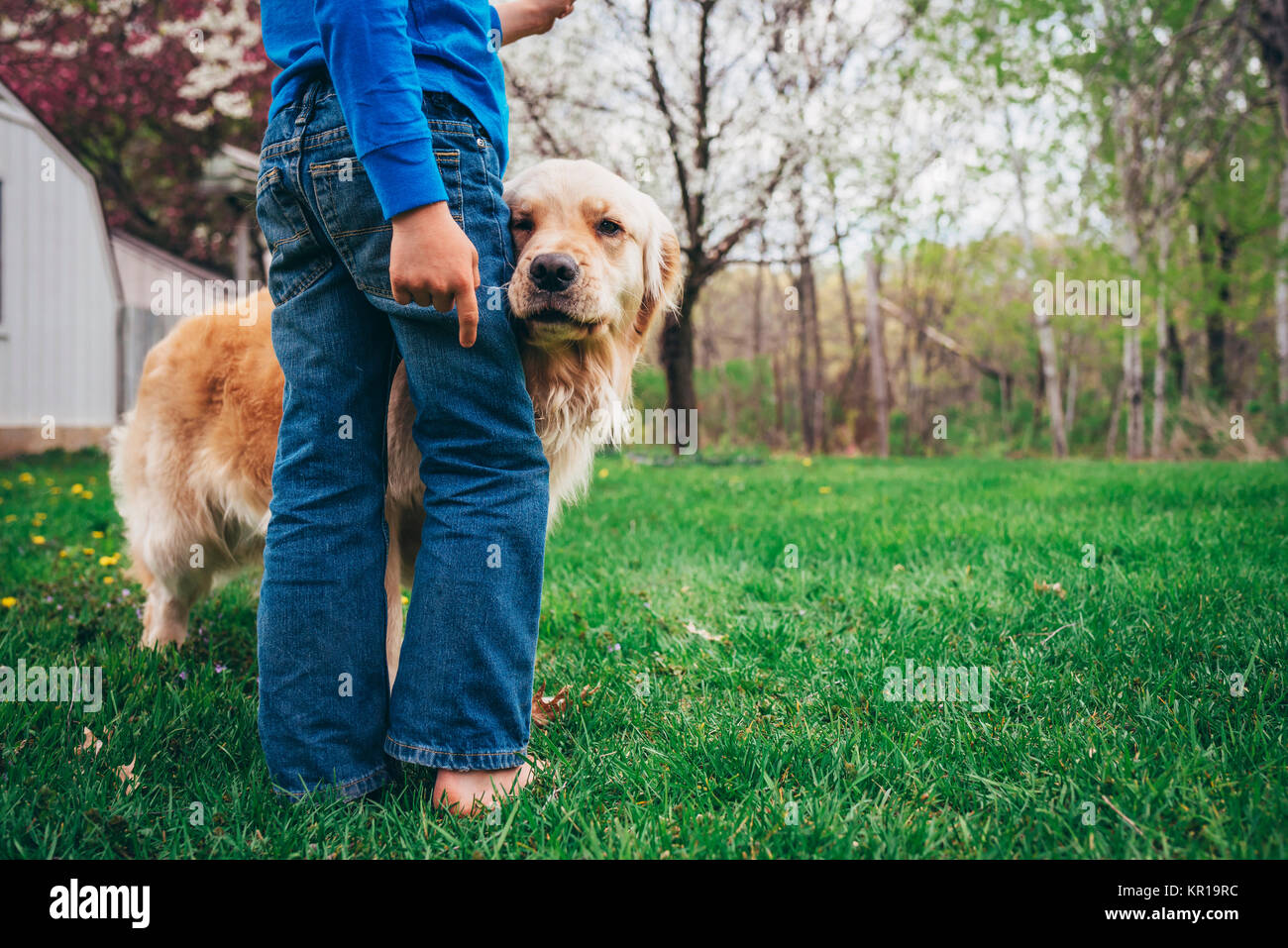 Ragazzo in piedi in un giardino con il suo golden retriever cane Foto Stock