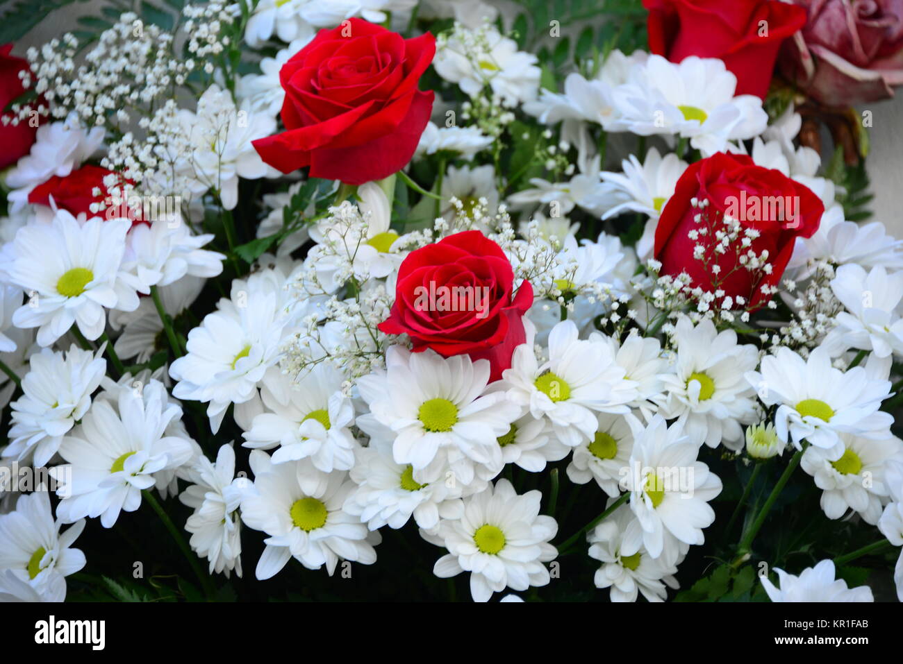 I tulipani,tulipa,gigli,liliacee,ibridi - piante ornamentali,bouquet - Spagna Foto Stock