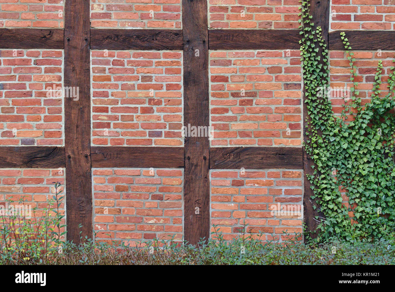 In legno e muratura in mattoni rossi parete parzialmente ricoperti di edera verde Foto Stock