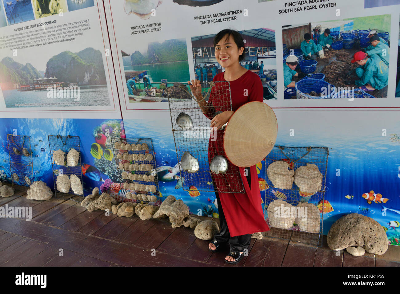 Orientamento, Pearl Farm, Halong Bay, Vietnam, Fuehrung, Perlenfarm, Halong-Bucht Foto Stock