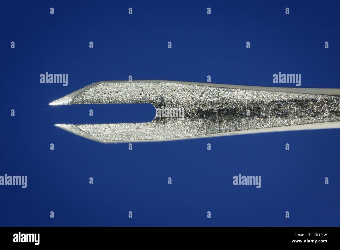 Un close-up della punta di un ago biforcato usato per vaccinare gli individui con il virus del vaiolo vaccino, 2002. Il virus di vaiolo vaccino (vaiolo vaccino), derivato dalla linfa di vitello, e attualmente oggetto di licenza negli Stati Uniti, è un liofilizzato, live-preparazione di virus di malattie infettive del virus del vaiolo vaccino. Esso non contiene il vaiolo (Variola) virus. Immagine cortesia CDC. Foto Stock