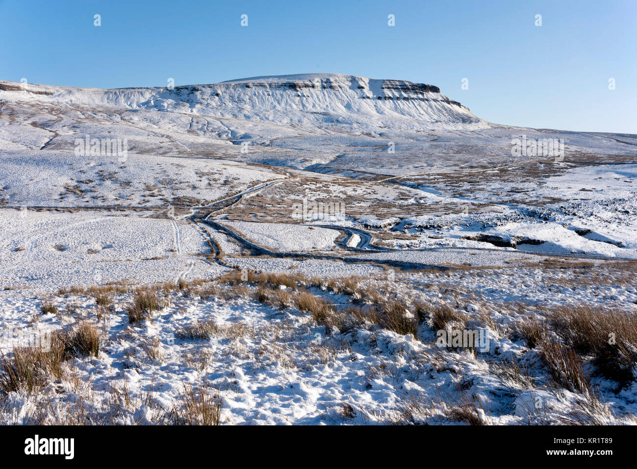 Una coperta di neve Pen-y-Ghent picco, Horton in Ribblesdale, Yorkshire Dales National Park, Regno Unito Foto Stock