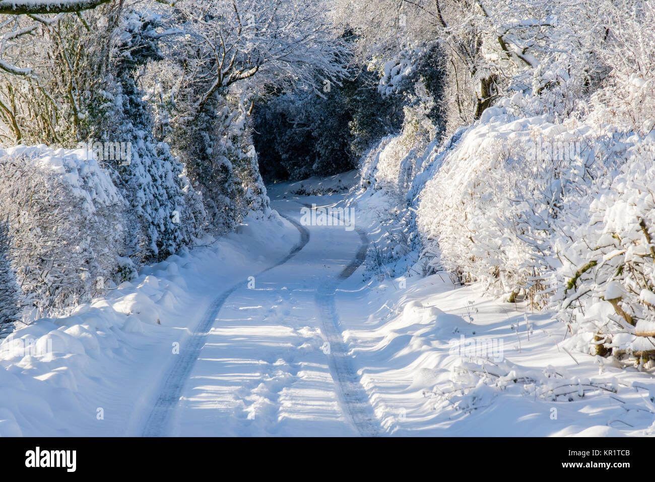 Ragdon Lane nella neve, sulla collina Ragleth, Church Stretton, Shropshire, Regno Unito Foto Stock