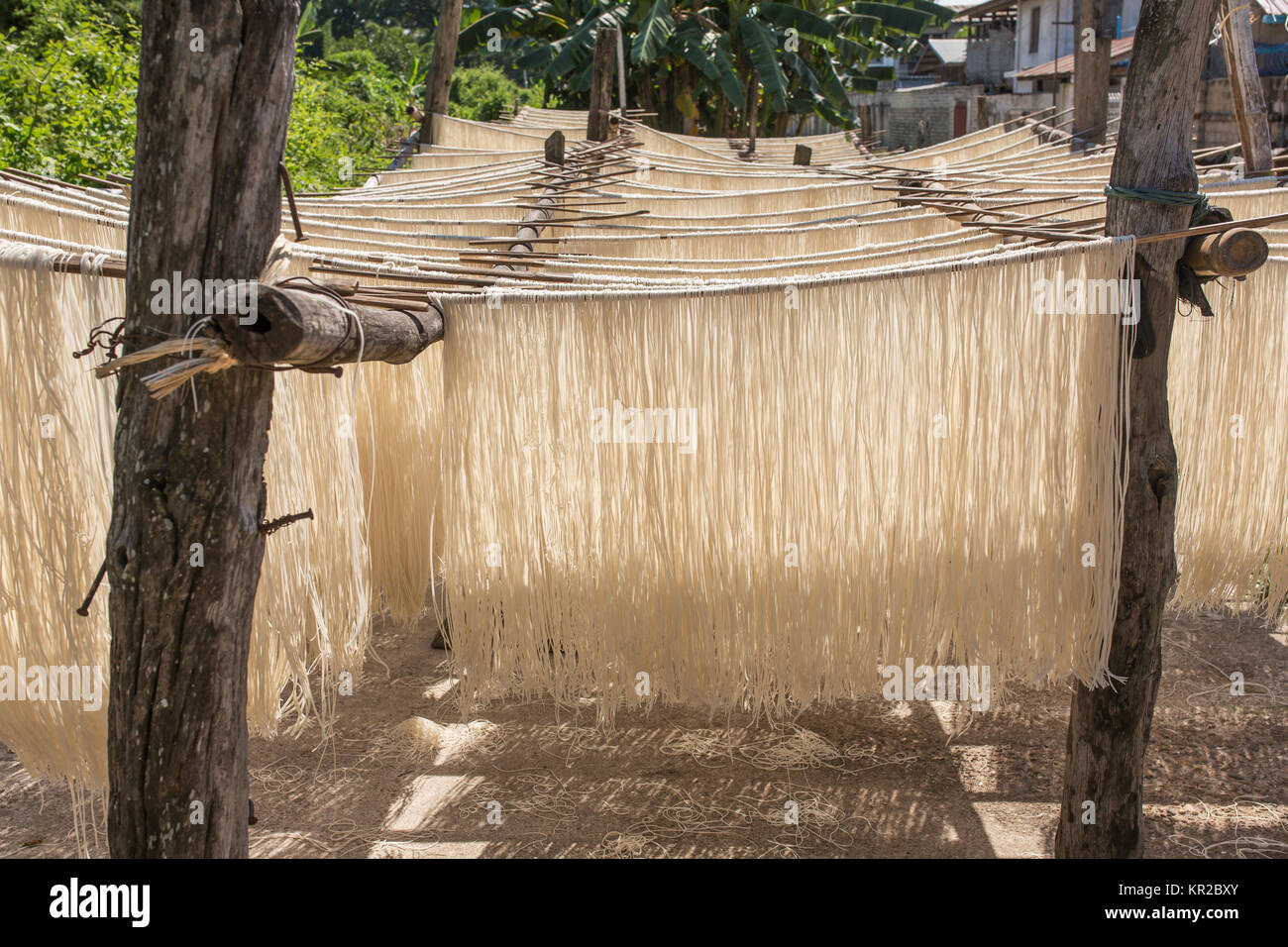 In casa riso pasta essiccamento su sun in Myanmar. Foto Stock