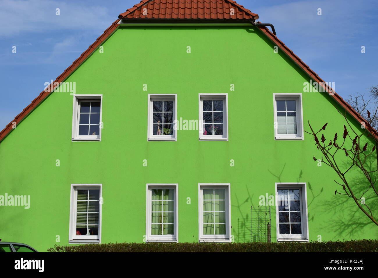 facciata verde Foto Stock
