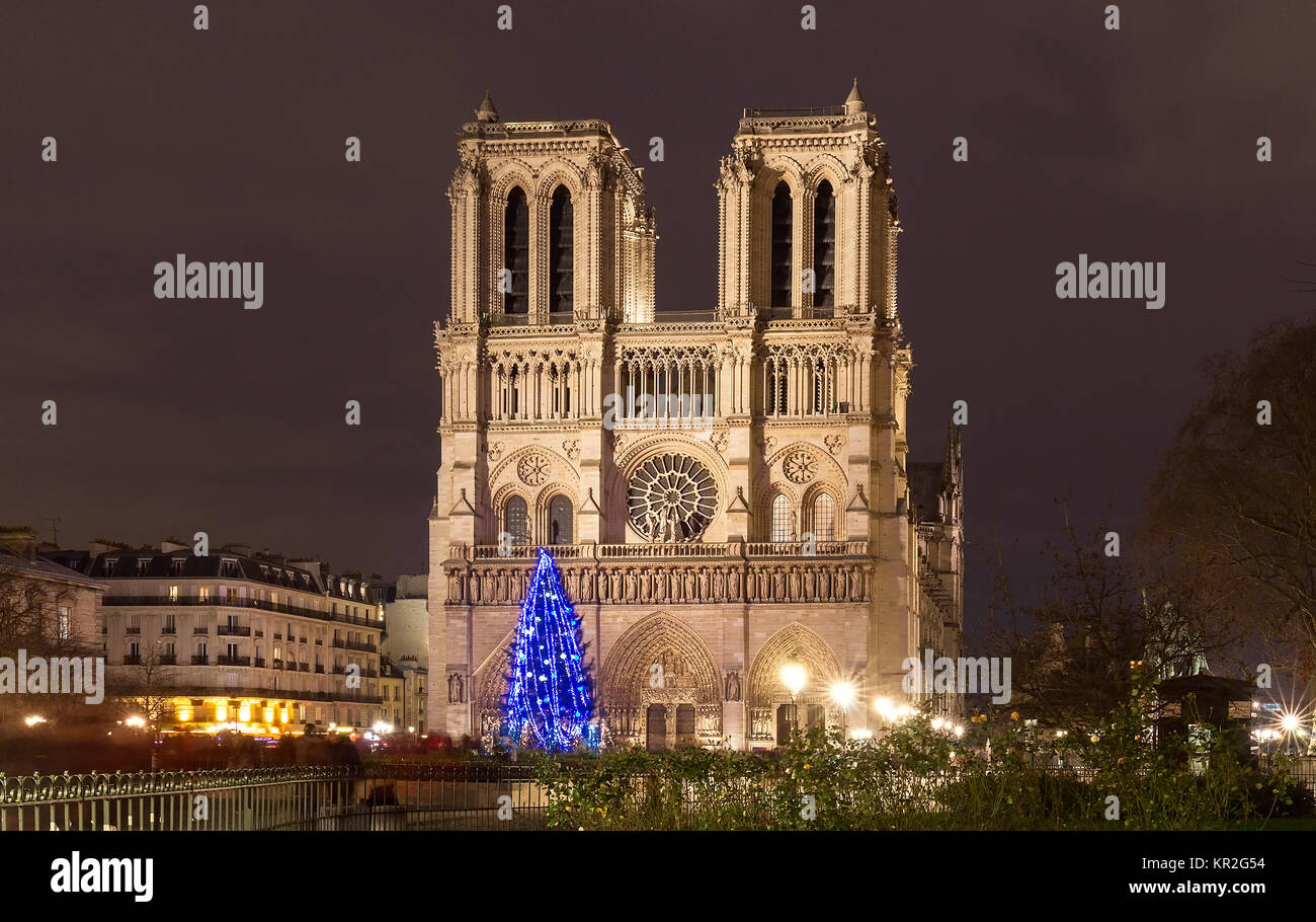 Immagini Di Natale A Parigi.La Cattedrale Di Notre Dame Con Albero Di Natale Parigi Francia Foto Stock Alamy