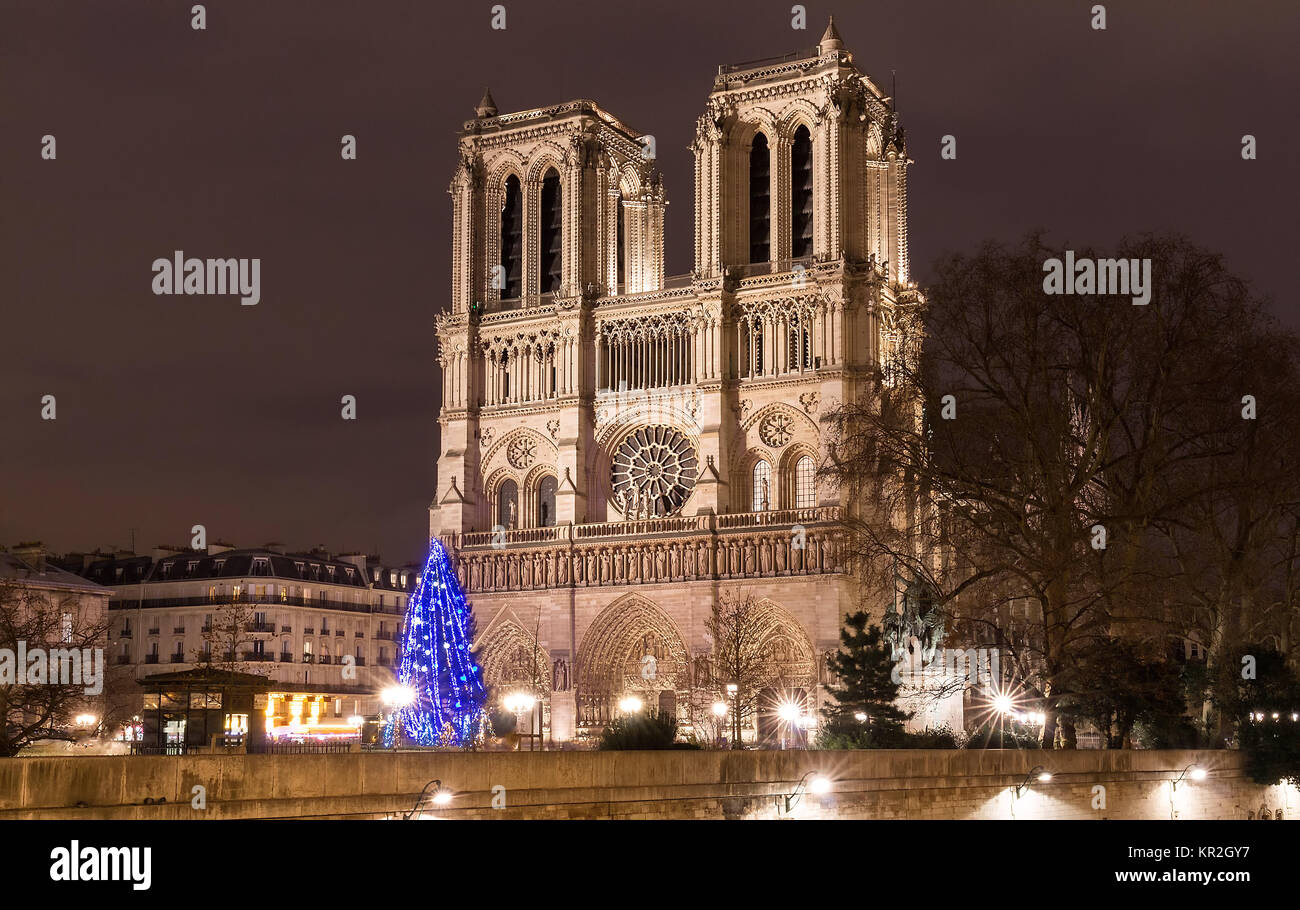 La cattedrale di Notre Dame con albero di Natale - Parigi, Francia Foto Stock