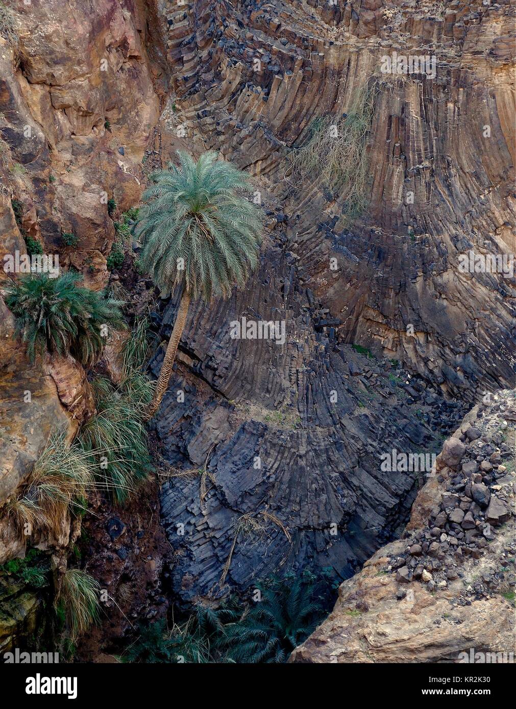 Lava vulcanica creazione di basalto colonnare, a Wadi al Hidan, Barta area, in Giordania. Foto Stock