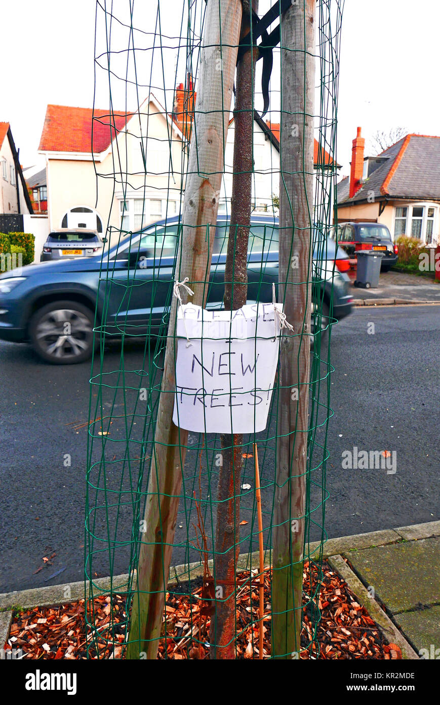 Scritto a mano segno dicendo di nuovi alberi sulla strada trafficata in Blackpool Foto Stock
