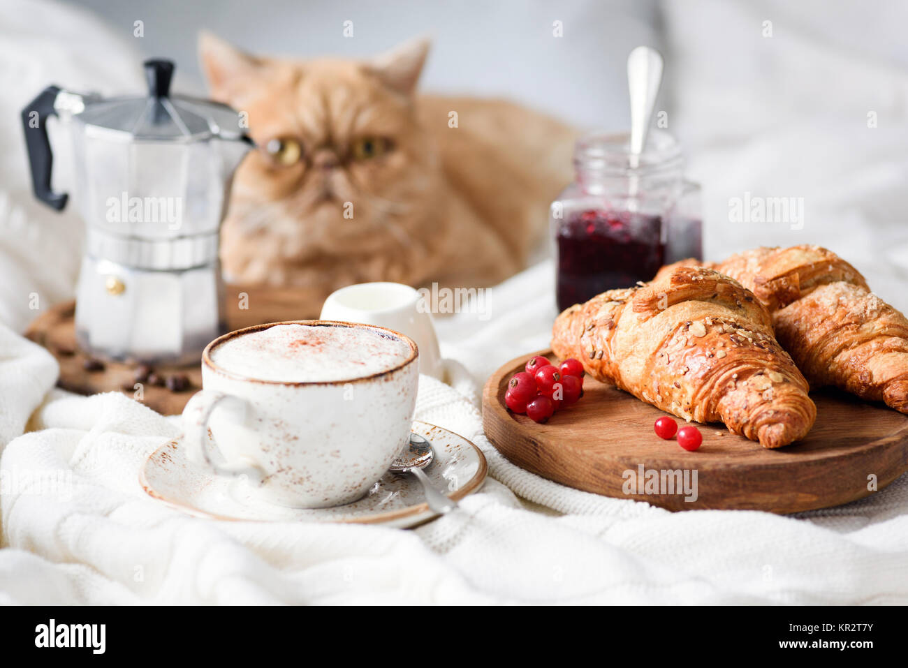 La prima colazione a letto con cornetti, caffè e marmellata. Vista orizzontale. Lo zenzero cat seduto su sfondo Foto Stock