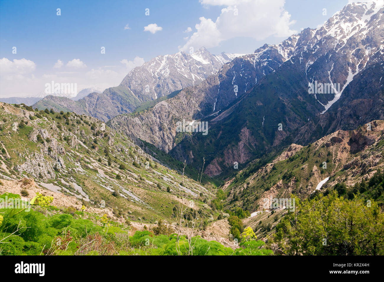 Chimgan montagne, Uzbekistan Foto Stock