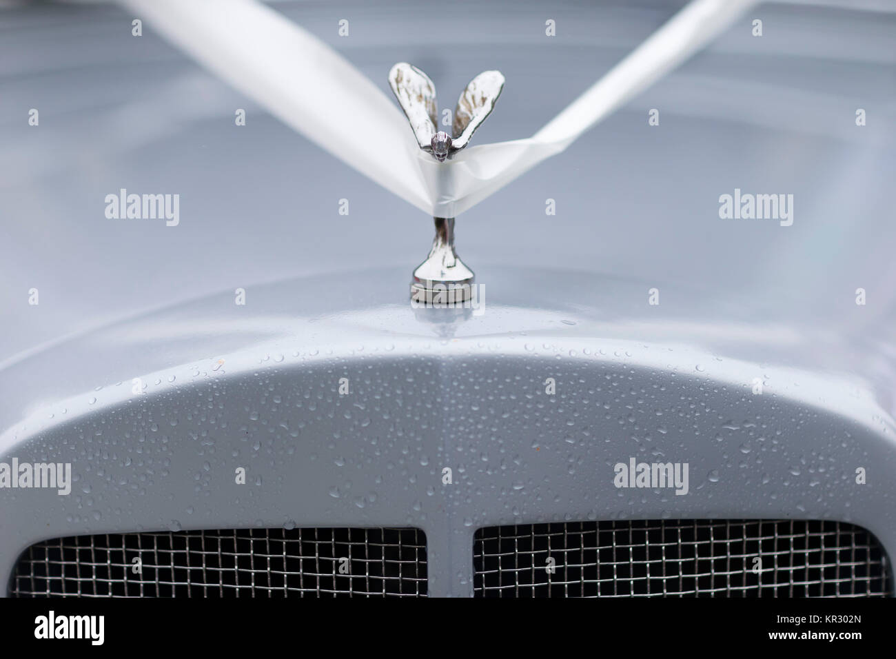 Giorno di nozze il trasporto Foto Stock