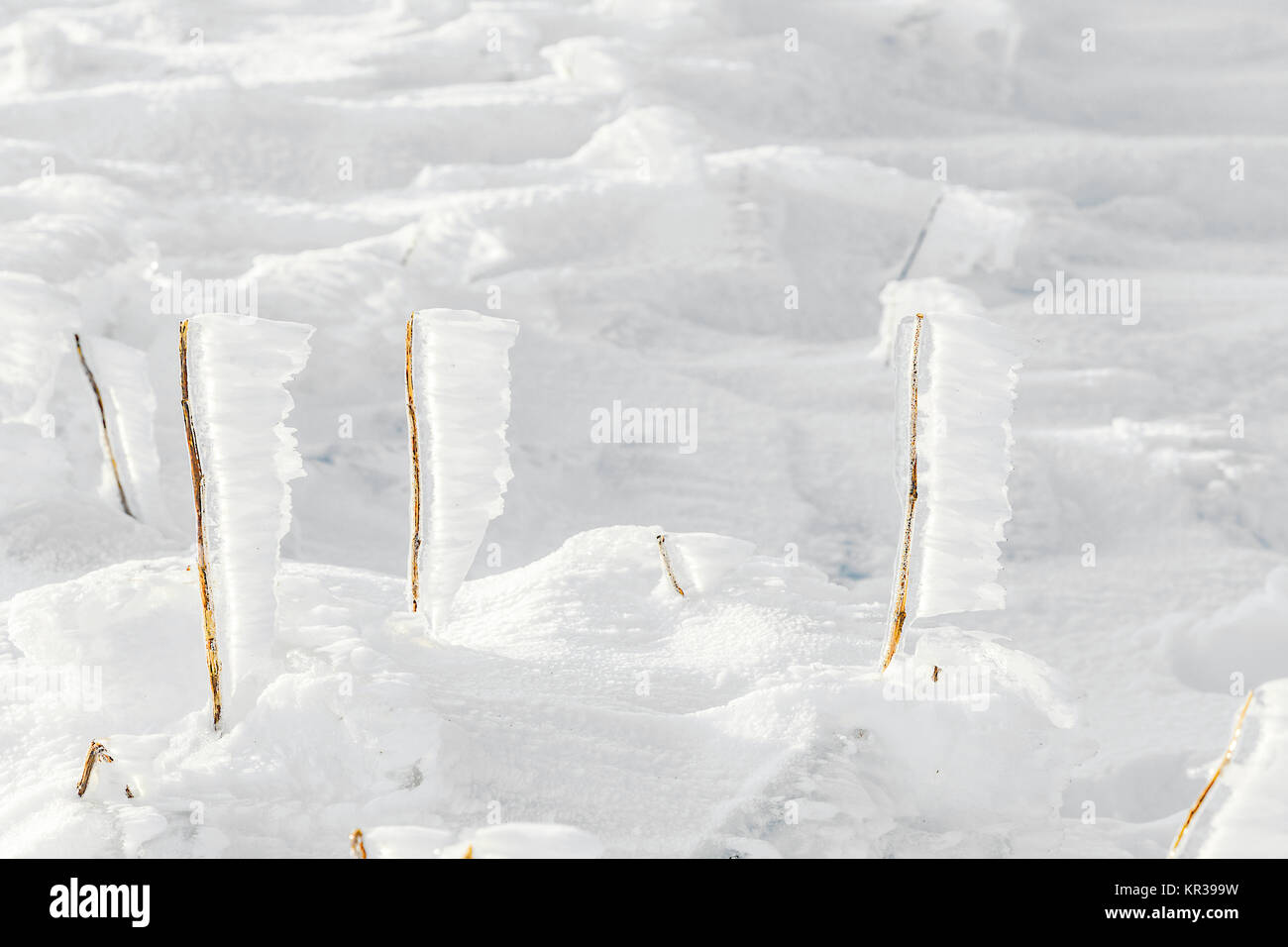 Dettaglio della neve e del ghiaccio a piani congelati in inverno il paesaggio di montagna Foto Stock