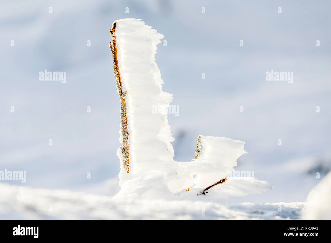 Dettaglio della neve e del ghiaccio a piani congelati in inverno il paesaggio di montagna Foto Stock