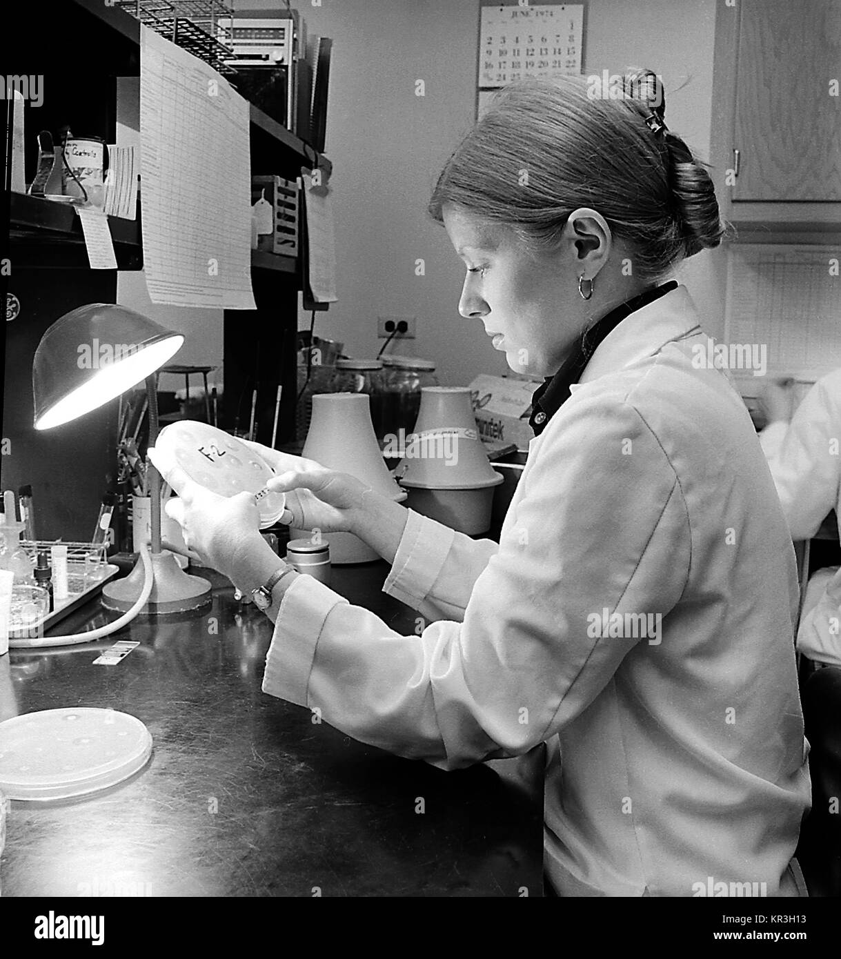 Un laboratorian in un laboratorio di batteriologia sta esaminando una capsula di Petri di cultura. Questo tecnico è la misurazione di zone di inibizione come risultato di un antibiotico di test di suscettibilità, 1974. Immagine cortesia CDC. Foto Stock